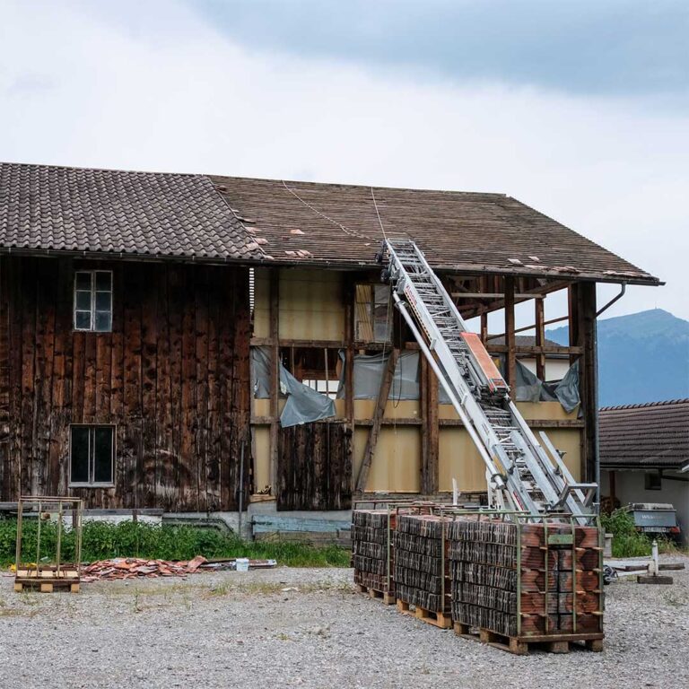 Abbruch eines Holzgebäudes